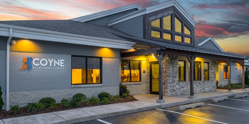 Check Out Our Hospital Locations | Coyne Veterinary Services